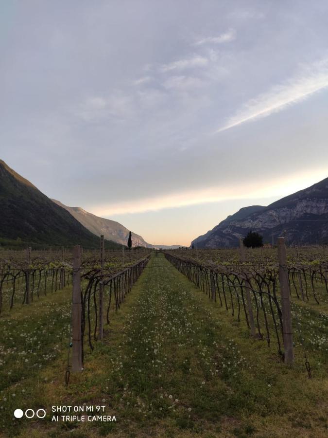 Agriturismo Revena Brentino Belluno Екстериор снимка