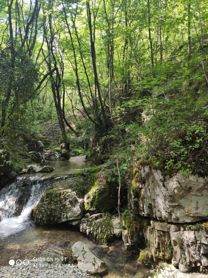 Agriturismo Revena Brentino Belluno Екстериор снимка