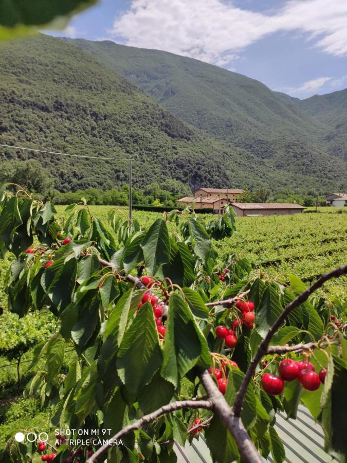 Agriturismo Revena Brentino Belluno Екстериор снимка